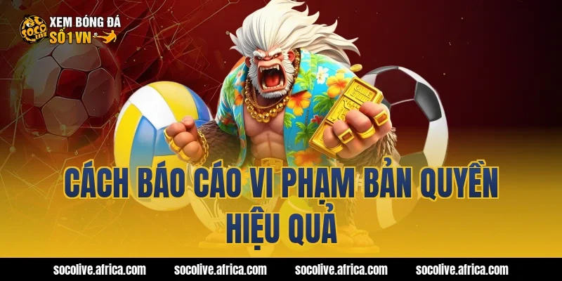 Cách báo cáo vi phạm bản quyền hiệu quả