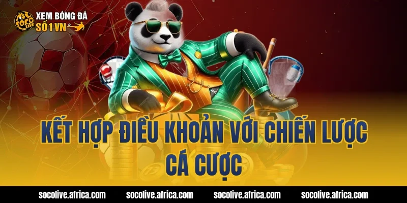 Kết hợp điều khoản với chiến lược cá cược