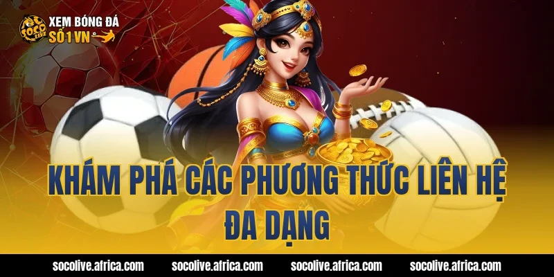 Khám phá các phương thức liên hệ đa dạng