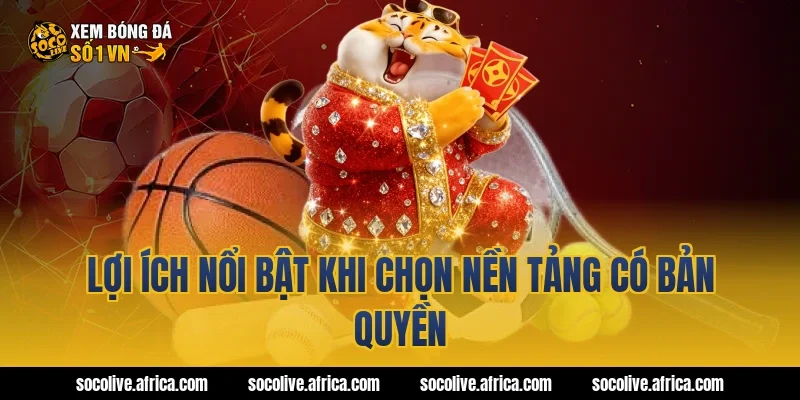 Lợi ích nổi bật khi chọn nền tảng có bản quyền