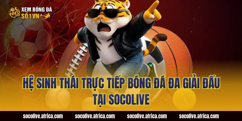 Hệ sinh thái trực tiếp bóng đá đa giải đấu tại Socolive