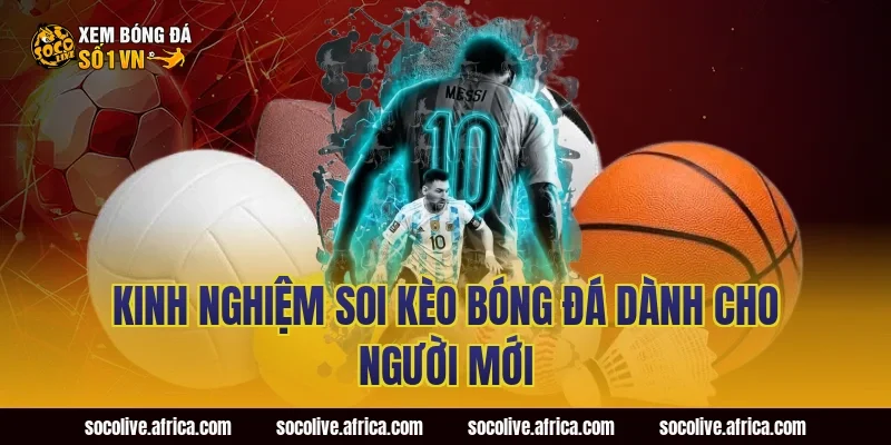 Kinh nghiệm soi kèo bóng đá dành cho người mới