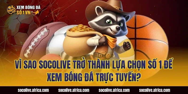Vì Sao Socolive Trở Thành Lựa Chọn Số 1 Để Xem Bóng Đá Trực Tuyến?